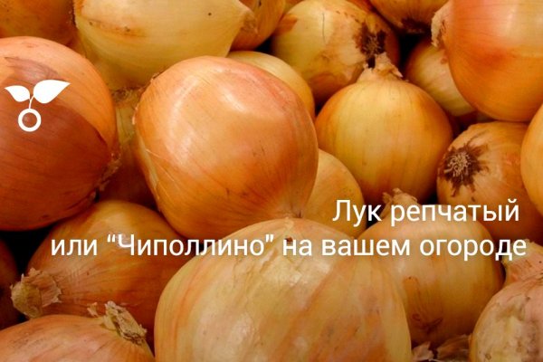 Купить гашиш бошки